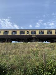 Dartmouth Steam Railway - named after Sarah!!
